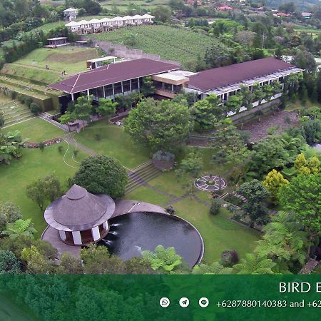 Amaryllis Boutique Resort Paragajen Eksteriør billede