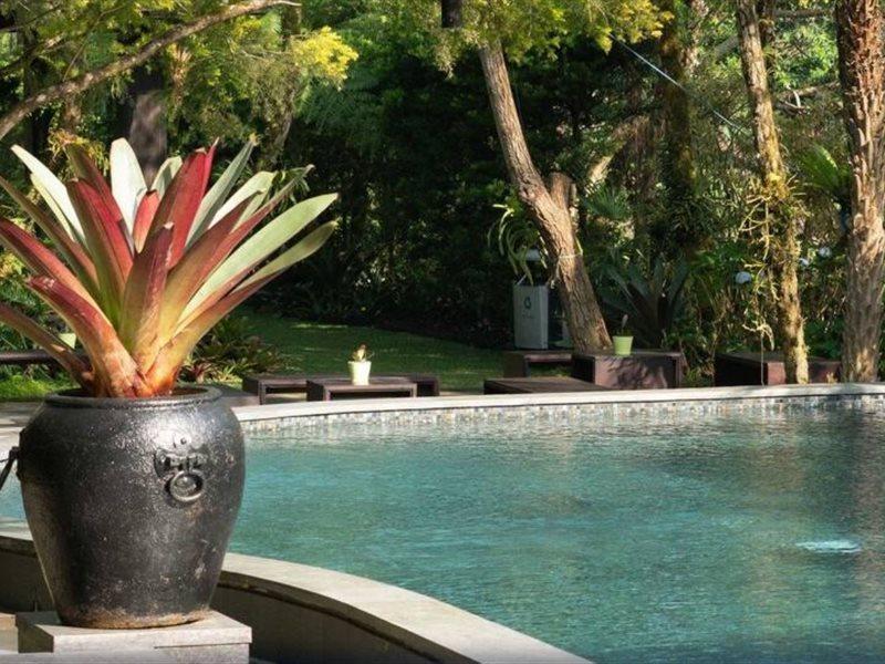 Amaryllis Boutique Resort Paragajen Eksteriør billede