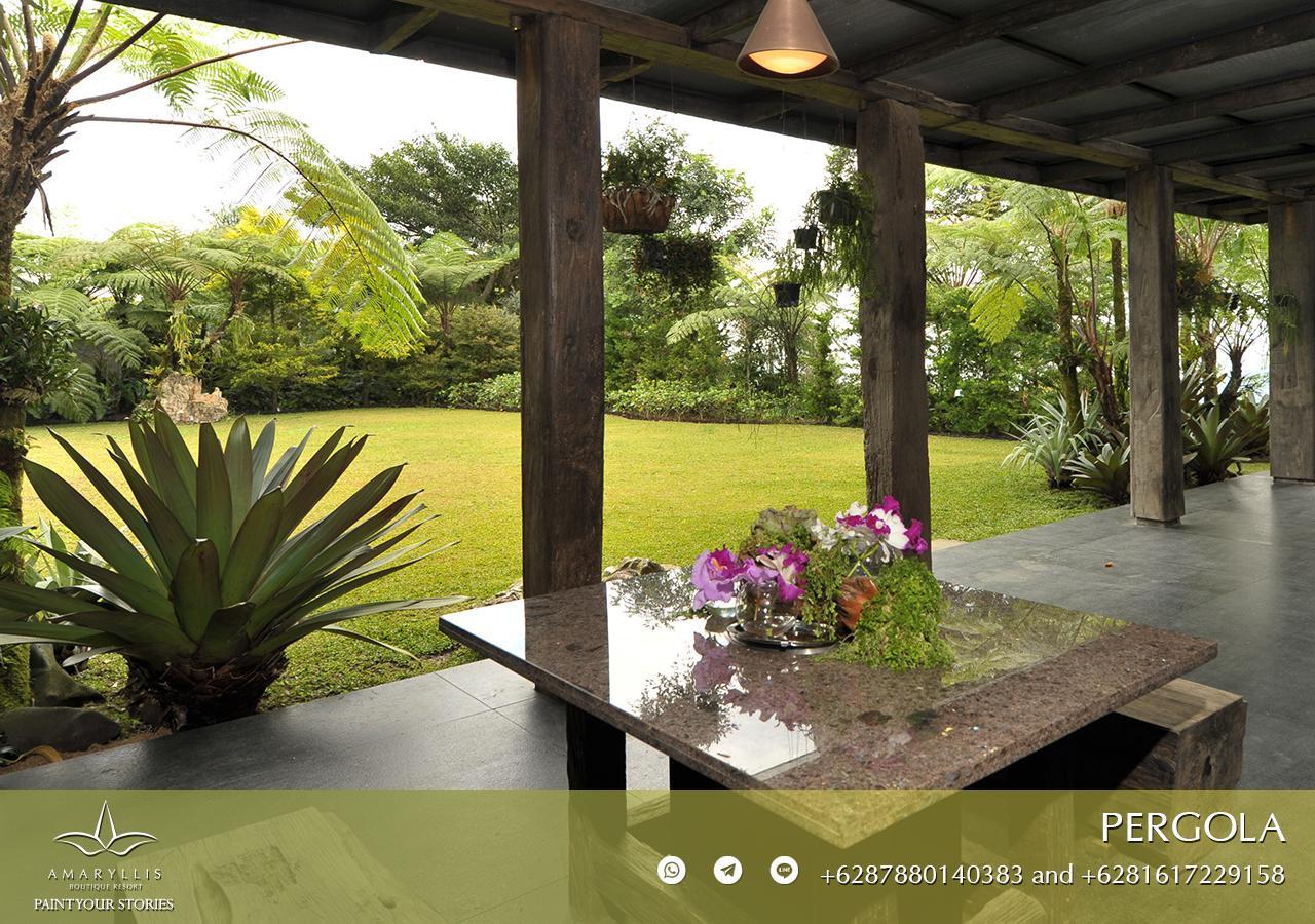Amaryllis Boutique Resort Paragajen Eksteriør billede