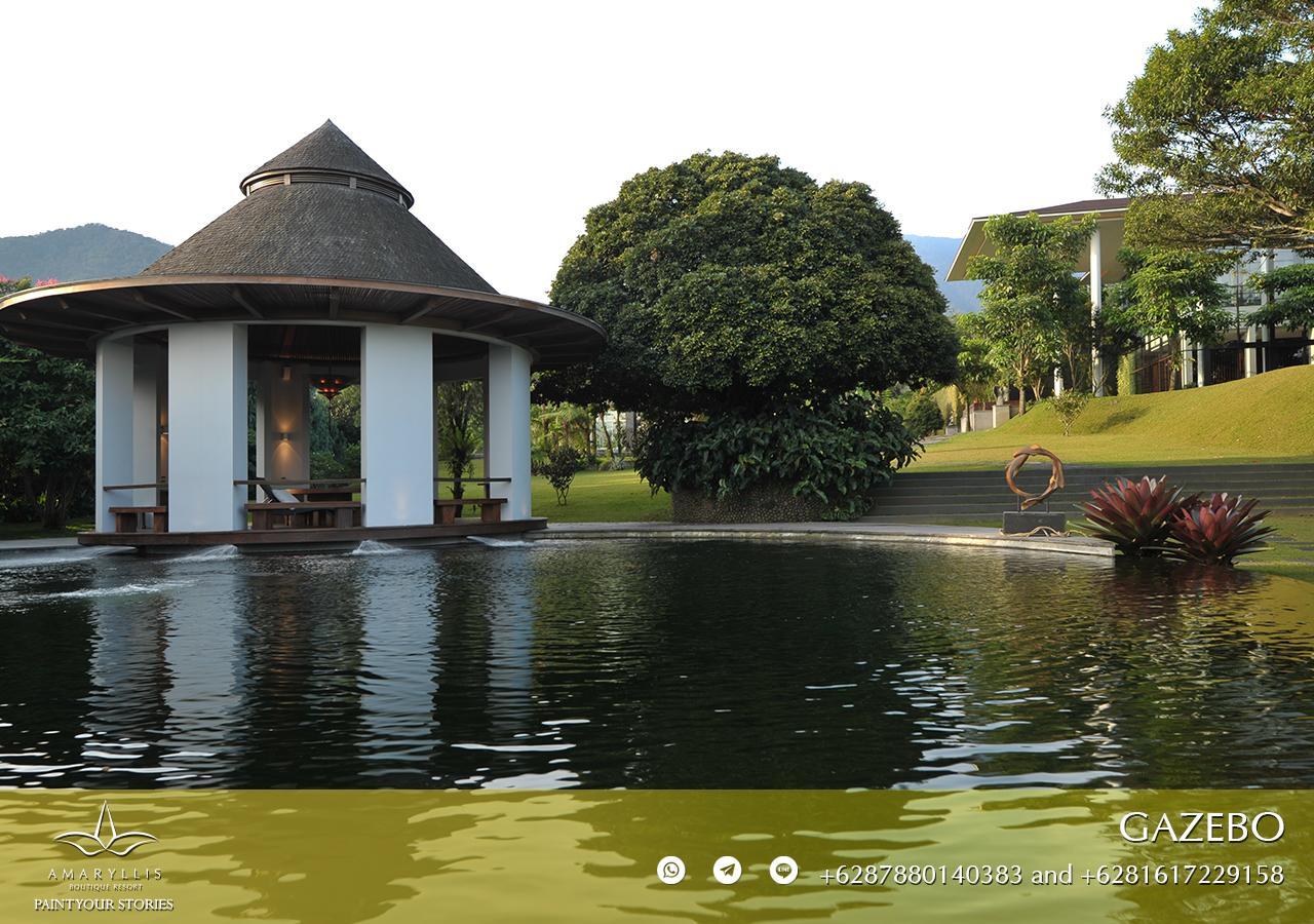 Amaryllis Boutique Resort Paragajen Eksteriør billede